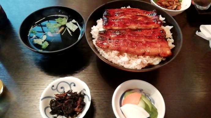すみの坊 鰻のかば焼き旨かったよ