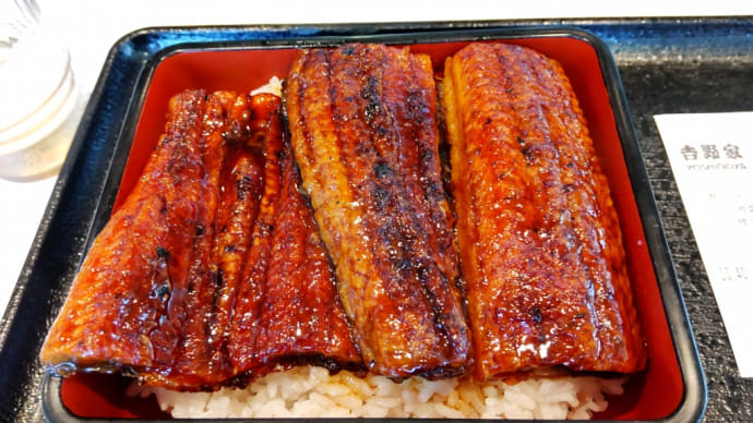 お昼御飯は吉野家🎵