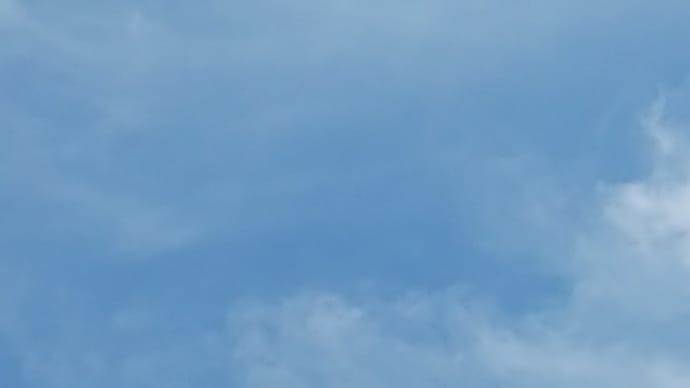 晴れの天気です