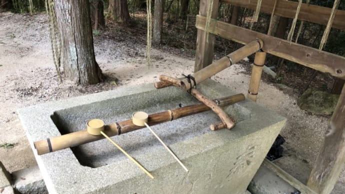 女性の婚活での自分磨き☆徳島地域密着EMIイーエムアイ婚活結婚相談所お見合い