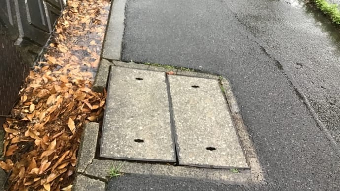溢れる側溝の落ち葉🍂