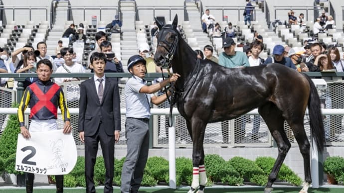 エルフストラック、エリカ賞を回避して年明け競馬へ