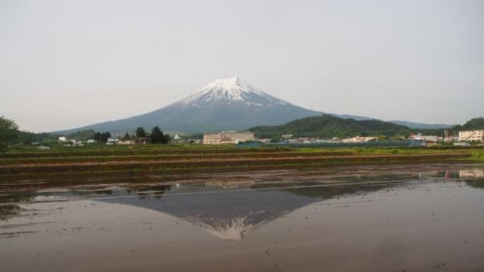 山梨県・富士吉田市・上吉田東の「富士吉田の棚田」