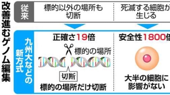 サバイバル中〜今朝のニュースから感じること〜