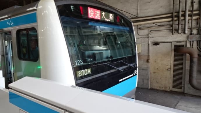 01/21: 駅名標ラリー 高崎線・京浜東北線ツアー#02: 与野, 北浦和, 蕨, 西川口 UP