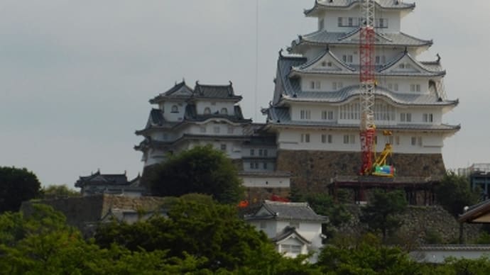 今日の姫路城 (2014.7.29)