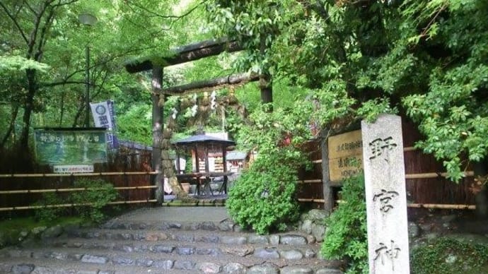 京都　野宮神社・茅の輪くぐり　(20日～30日 )