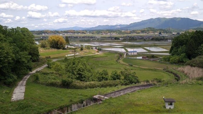 梅雨と水田…輝く田んぼたち