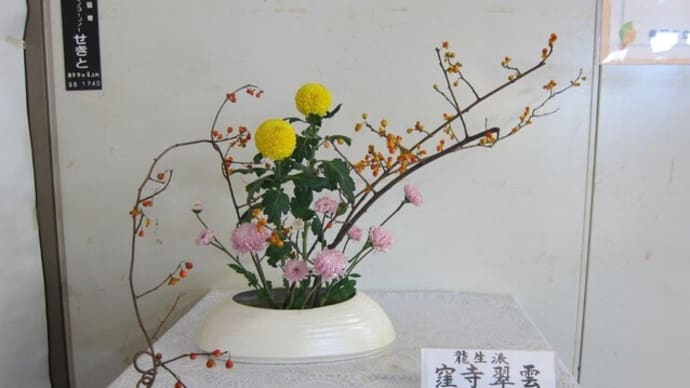 篠窪（しのくぼ）の隣町 龍生派窪寺様　１１月の作品（二種類の菊）の生け花(2023/11/14）