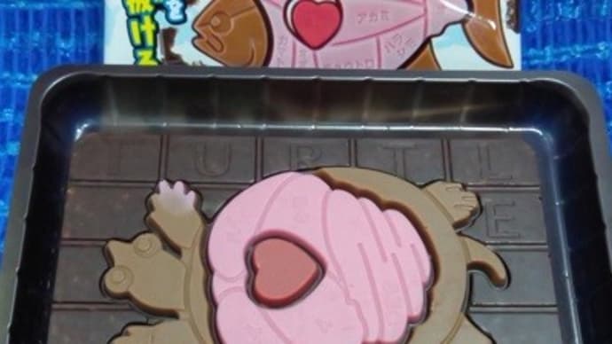 バンダイ・日本食材/解体図鑑チョコ、スッポンっ!><