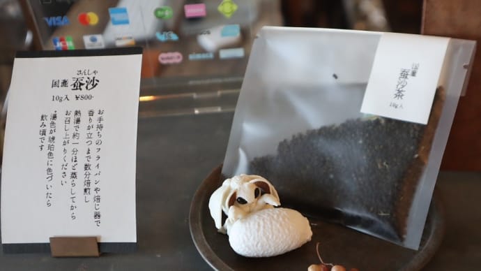 タガメサイダーってどんな味?。昆虫を使用した焼き菓子を食べてみました。