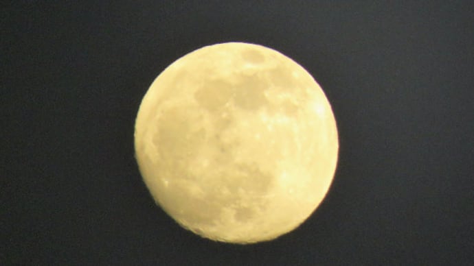 12月の月と達磨夕日