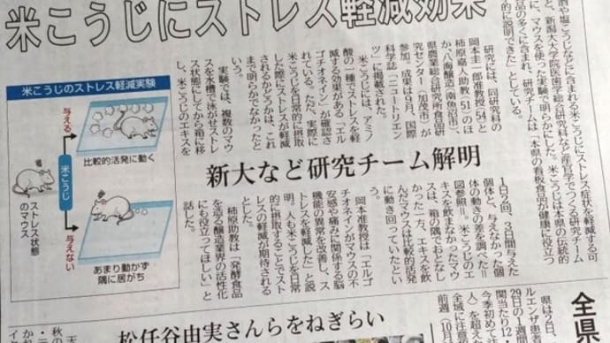 今しばらくお待ちください。