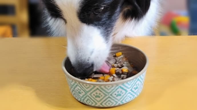 これは食べてもいいチョコベビー