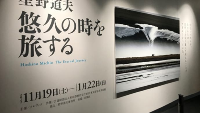 星野道夫 悠久の時を旅する*東京都写真美術館