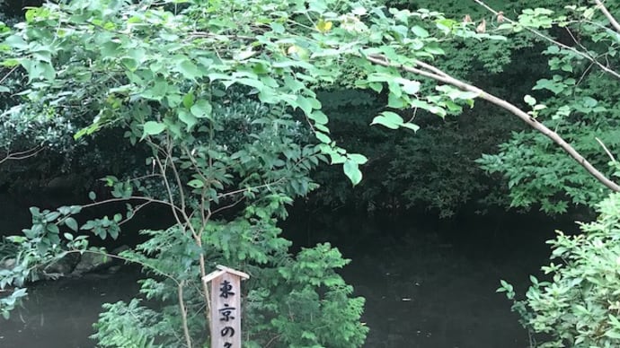 田園調布せせらぎ公園、おまけに宝来公園