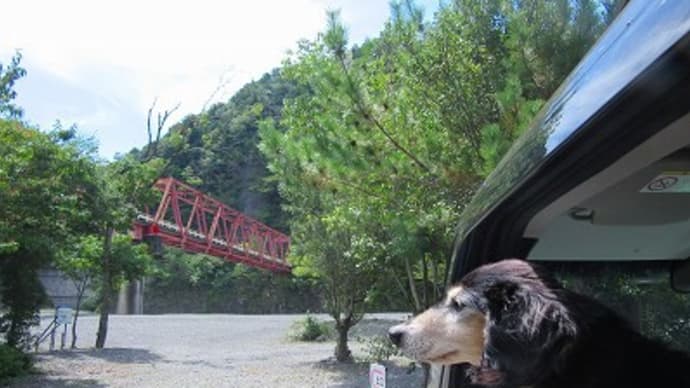 わんこと泊まるまるきゃんぷ9月 最終回
