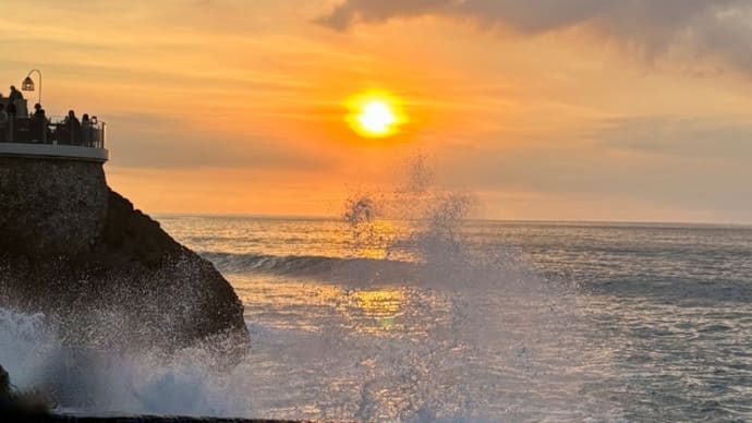 3月17日 バリ旅行 その時ニャンズは?!