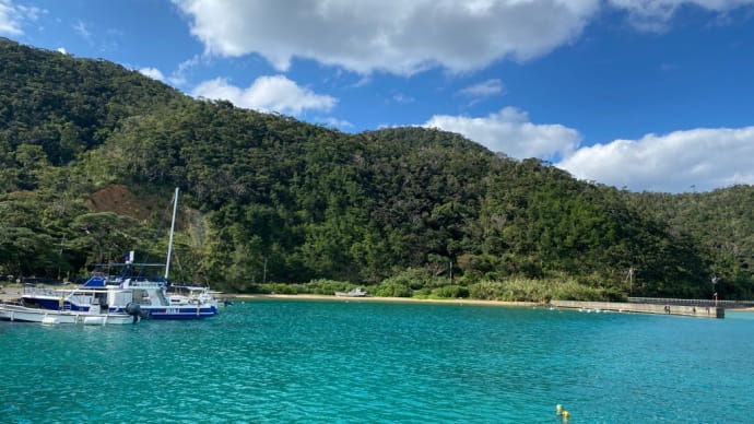加計呂麻島の魅力