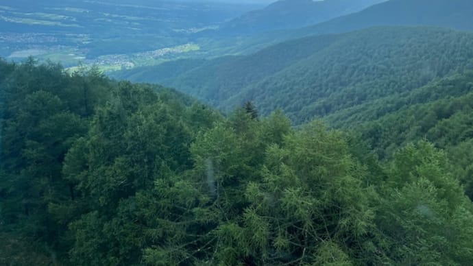 夏山低山ハイキング。