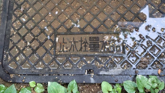 水漏れ修理にきてくれはった