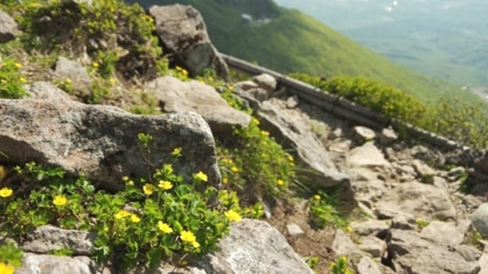 2024年6月7日 岩木山のようす