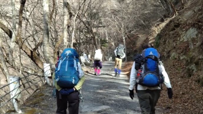 三条の湯 「湯治山行」。反省会は、奥多摩駅前の「餃子屋」さん 【2023020405】