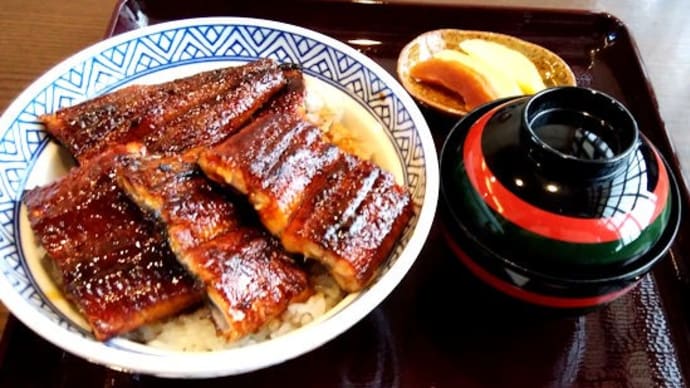 なまずや県庁前店 うなぎ丼