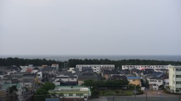 風が強いね