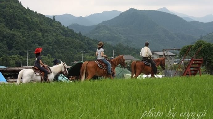 乗馬