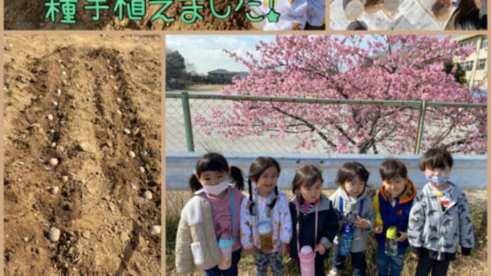 じゃがいもの種芋植えました!
