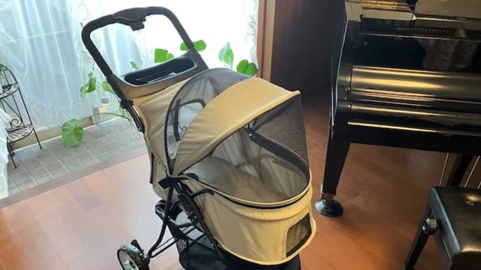 ペットカートを買ってもらったリリ~
