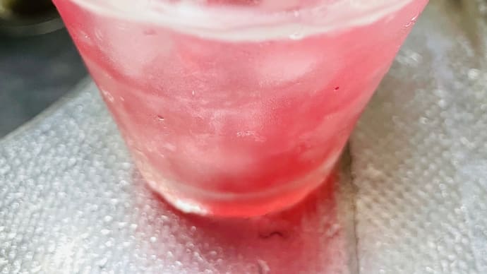 医食同源 赤紫蘇蜂蜜梅シロップ炭酸水