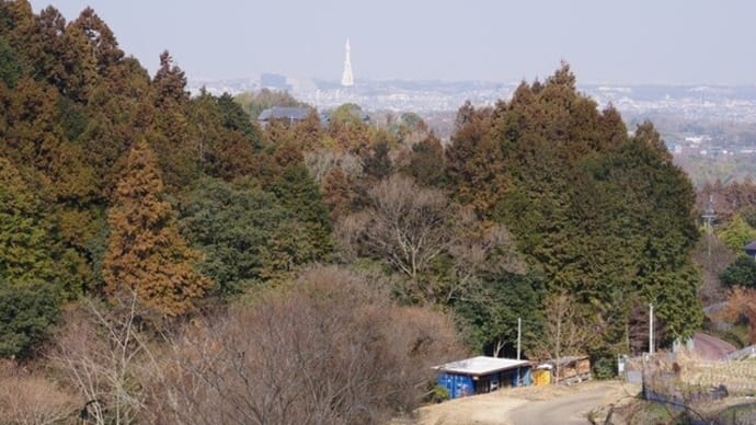 楠木城阯へ