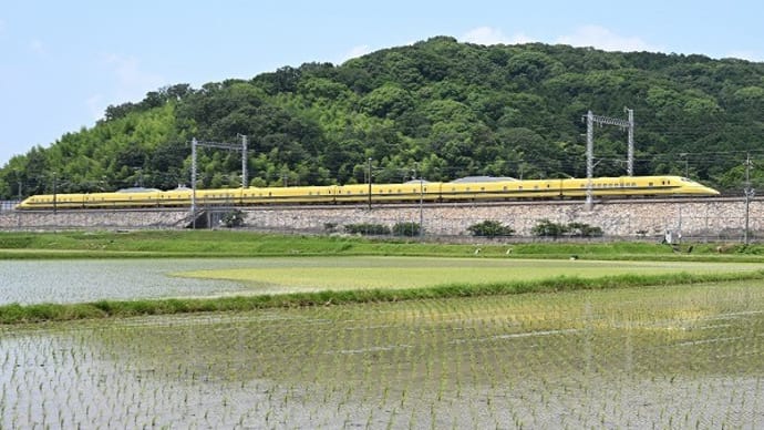 ハローキティ新幹線・ドクターイエロー 太子町 ’25.6.19