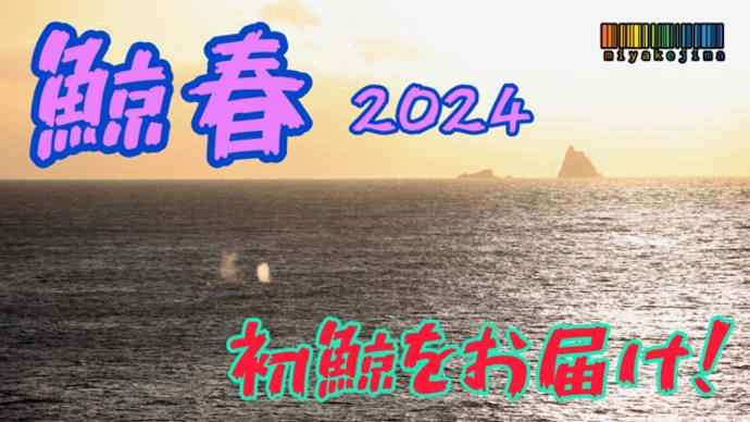 鯨春2024 〜初鯨〜