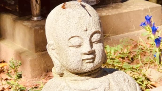 暑さ寒さも彼岸までとはよく言ったものですね🙏