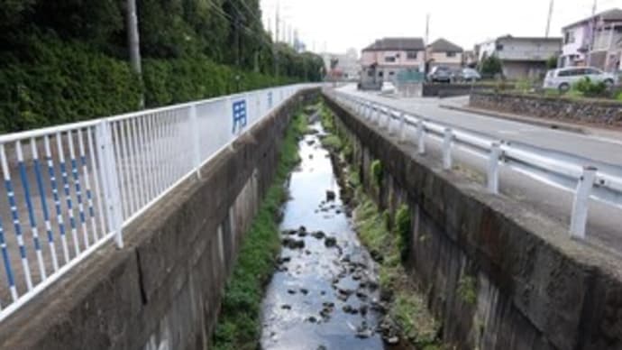 2024神奈川河川ポタリング『比留川』③寺尾南の住宅街~綾瀬市民スポーツセンター