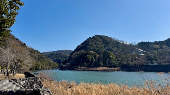 🚶➡️…天ヶ瀬ダム放流…志津川地区 2/17/‘25
