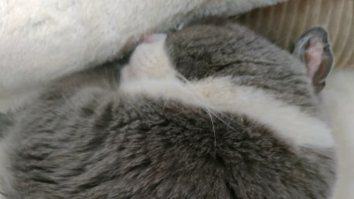 一人で生きる恐怖