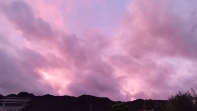 台風去って