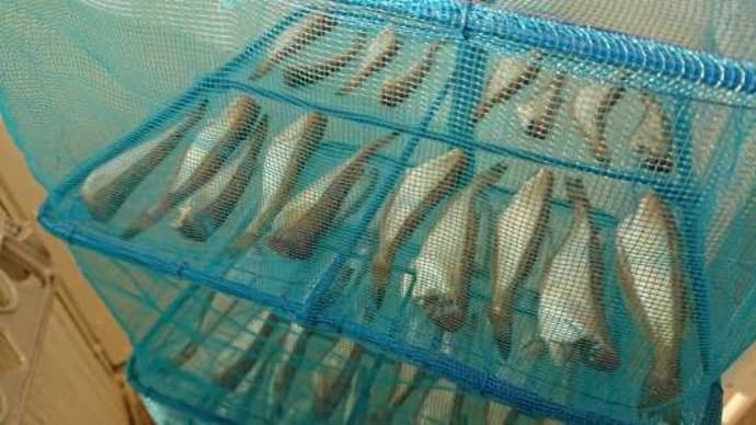 ハマグリ鍋とハタハタの醤油漬け その2