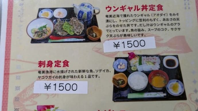 奄旨海房 魚匠でランチ