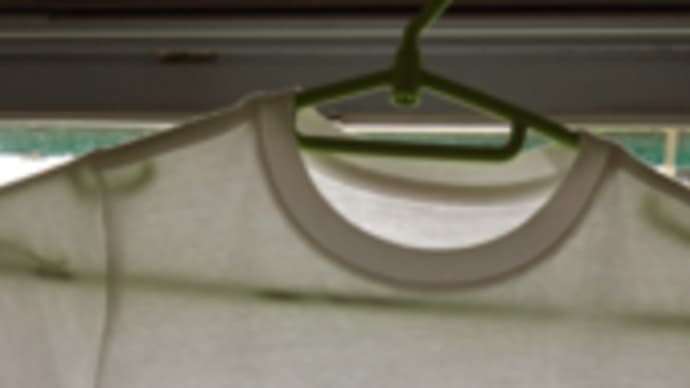 サボっていて申し訳ないです