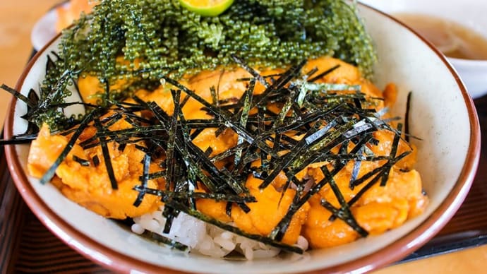 沖縄料理ご紹介⑥　～沖縄の海ぶどうと沖縄地上戦～