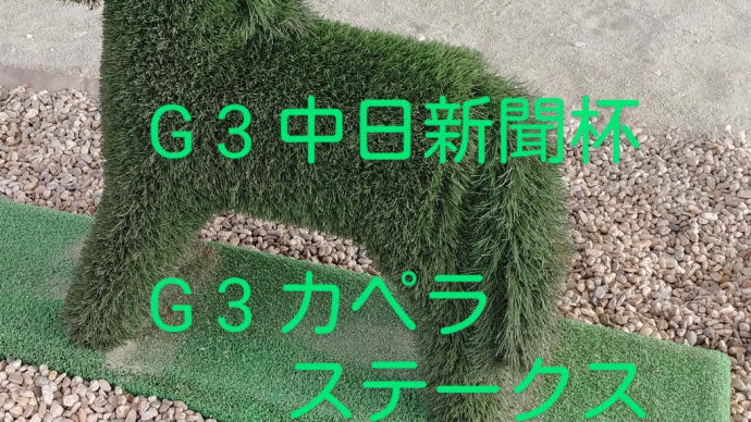 競馬G1阪神JF G3中日新聞杯 G3カペラステークス 狙ってみたい馬