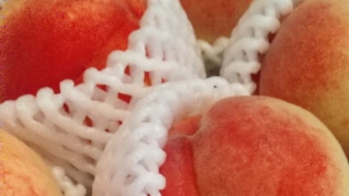 ミスピーチ🍑