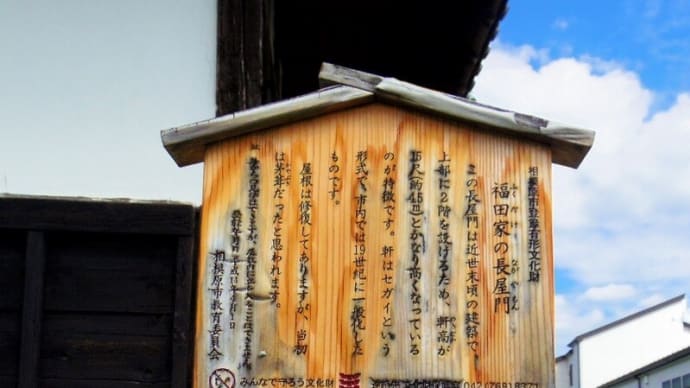 市登録有形文化財「福田家の長屋門」を拝撮!!