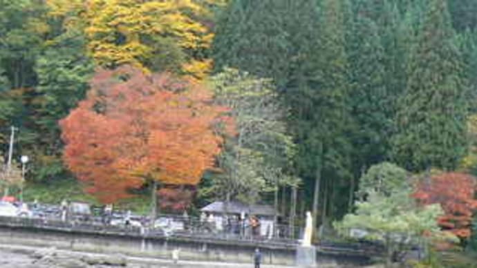 田沢湖畔の紅黄葉