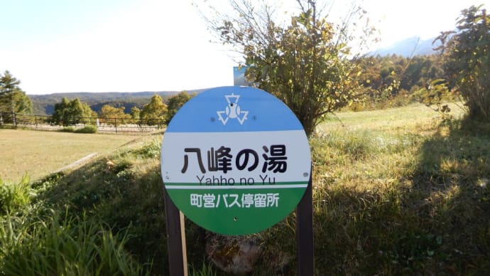 南佐久郡 八峰の湯お食事処 サーモン丼、せいろそば